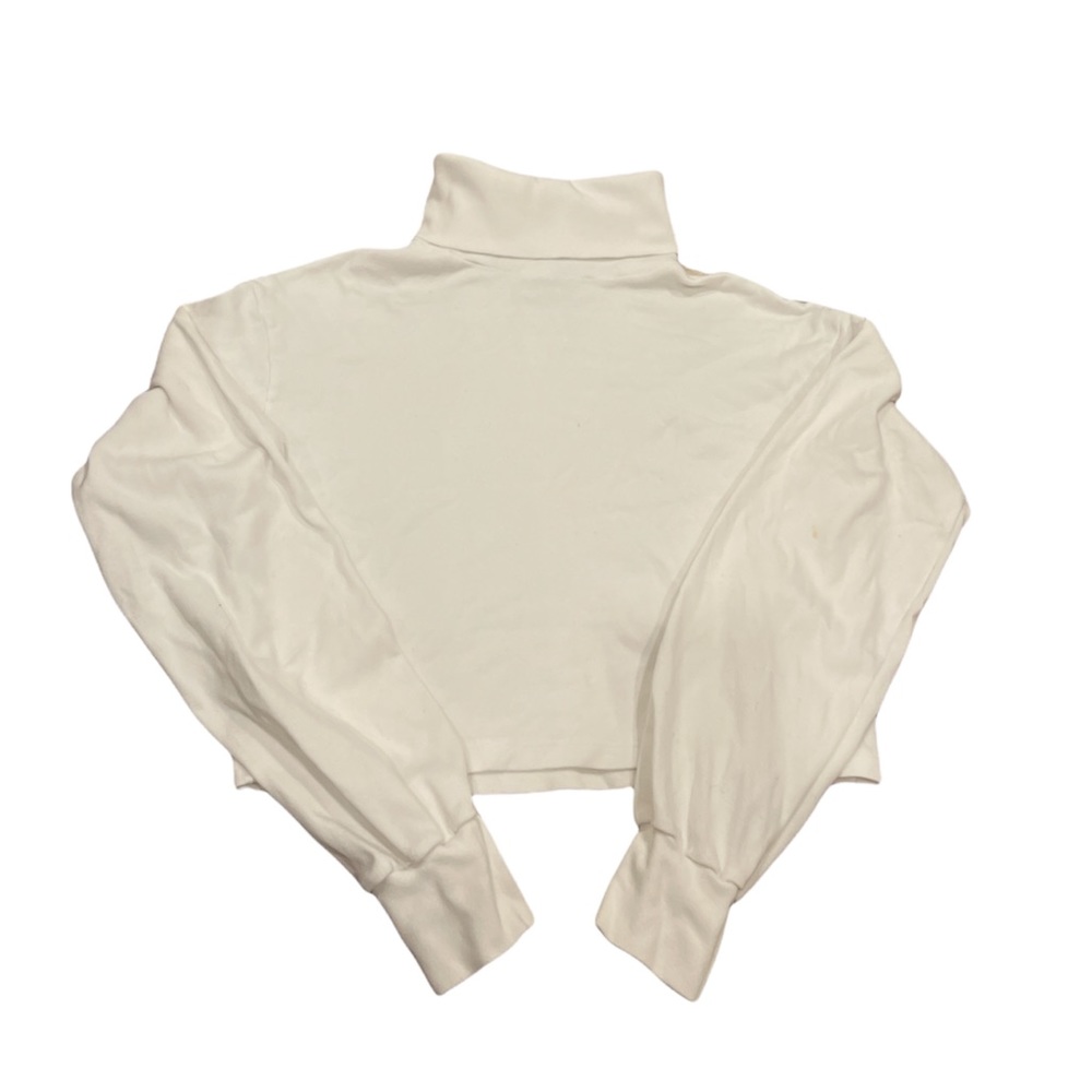 Brandy Melville Turtle Neck Crop Long Sleeve